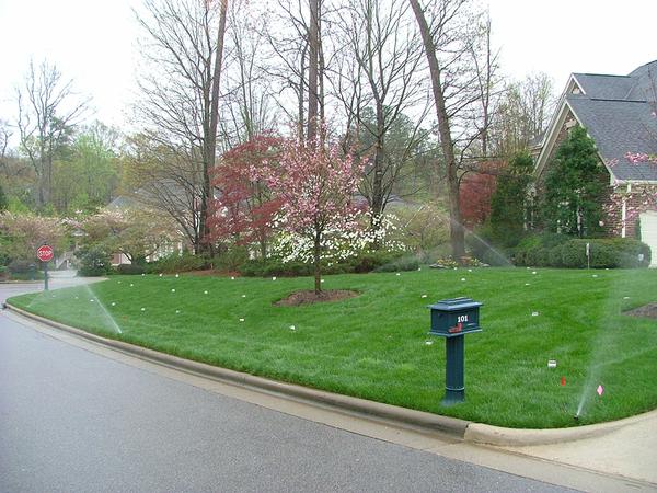 Catch cans throughout front lawn with sprinklers on