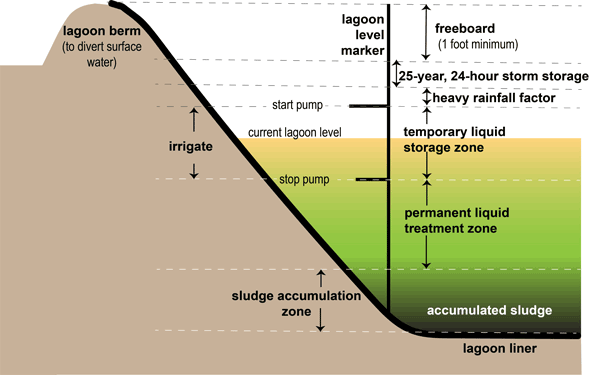 Color graphic of the lagoon design and components