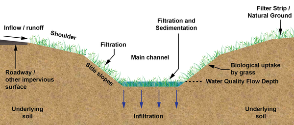 Color illustration showing soil, water, and vegetation