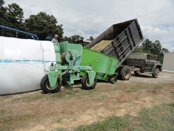 Photo of forage being stored using farm equipment.