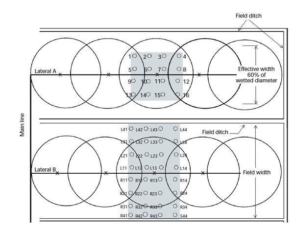 The entire width of the field is included in the calibration. At least 16 gauges should be set out on each side of the lateral.