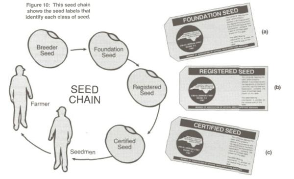 Seed And Seed Quality Nc State Extension Publications