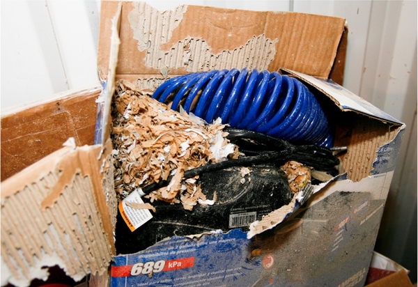 Mouse nest in a box