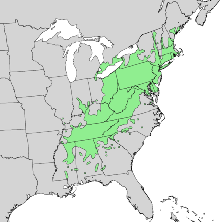 A map of eastern US with green area marked from Mississippi up through Maine