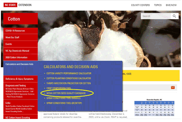 Thumbnail image for Utilizing the NC State University Cotton Planting Conditions Calculator and the NCDA&CS Cotton Seed Database to Make Wise Planting Decisions