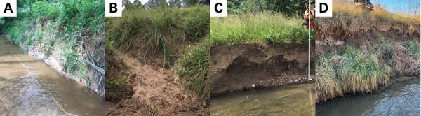 Types of streambank erosion, including surface scour, hoof shear, unstable undercut, and mass wasting.