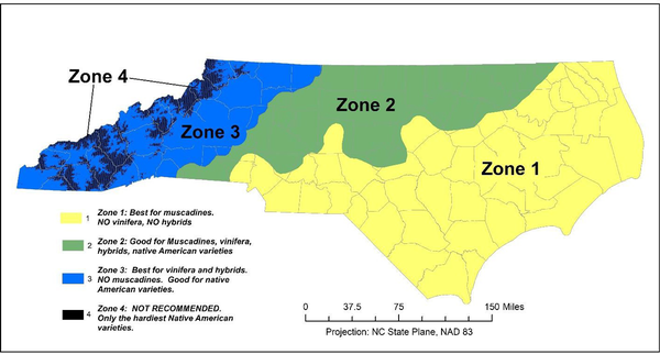NC map showing Zones 1–4 and listing which types of grapes are most suitable for each zone.