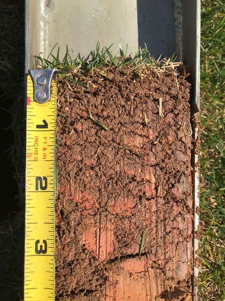 A 3-inch bermudagrass cross section showing the grass, a less than 0.5-inch layer of thatch, and soil.