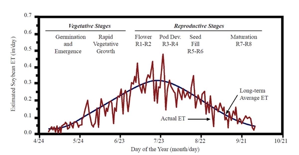 Graph of soybean daily water demand rising until pod development and then declining.
