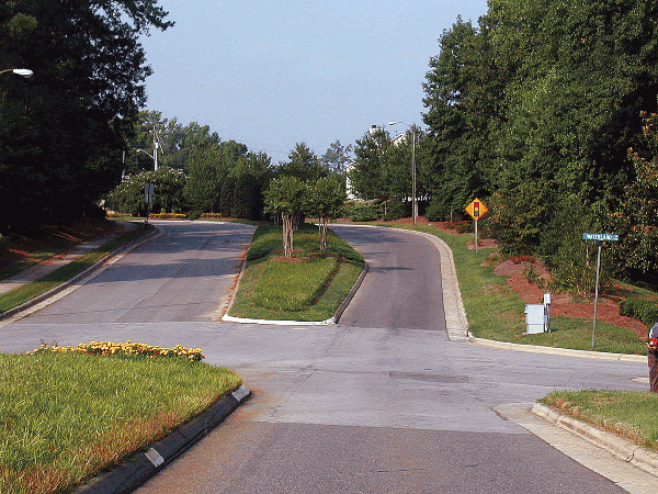 A road divided by a median with plants and trees.