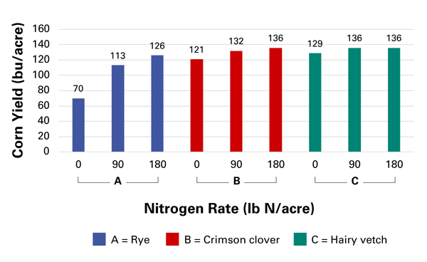 Vetch and crimson clover outperform rye