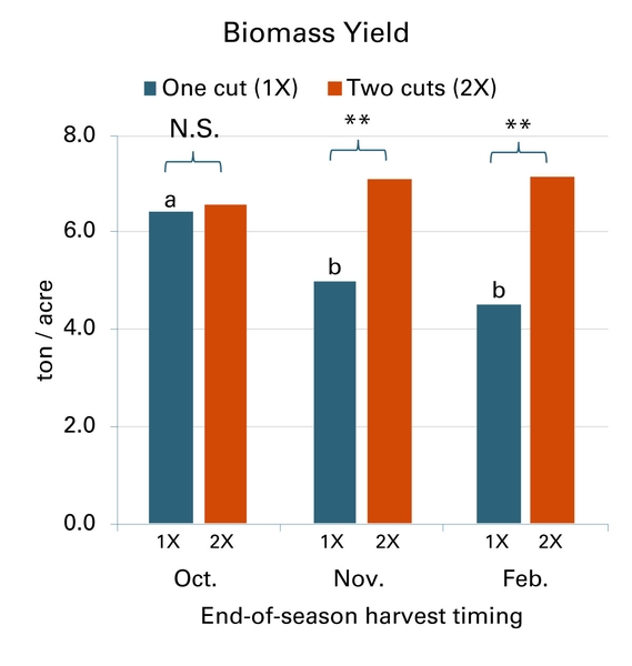 The 2X approach showed less loss of leaf to the ground.