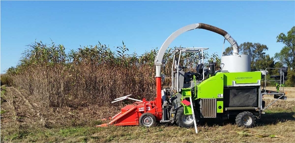 A Wintersteiger forage harvester was used to harvest bioenergy sorghum plots.