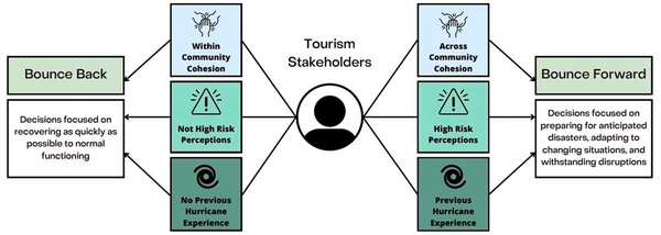 Flow chart showing decision-making patterns discussed in Key Findings section.