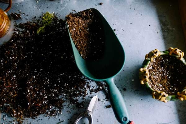 Tabletop work area with scoop of potting soil next to small amount of loose soil.