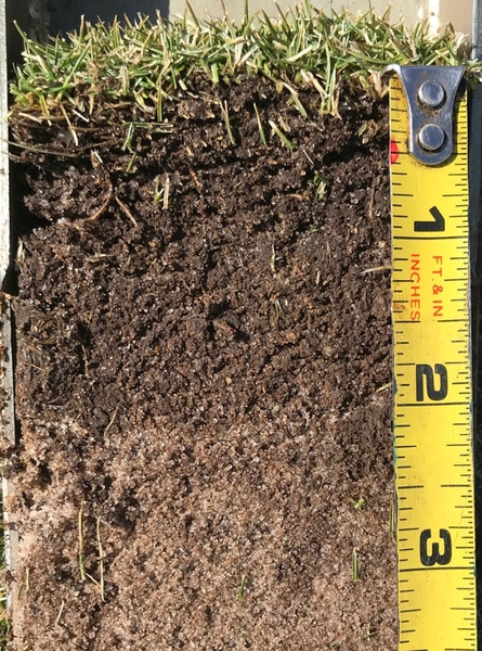 A 3.5-inch bermudagrass cross section showing the grass, more than 0.5 inches of thatch, and soil.