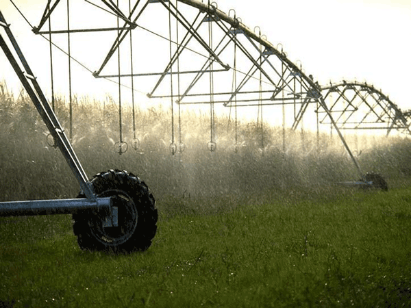 A linear sprinkler irrigating a field.