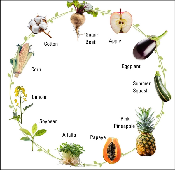 Apple, eggplant, summer squash, pink pineapple, papaya, alfalfa, soybean, canola, corn, cotton, sugar beet.