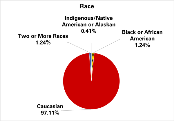 97.1% of respondents identified as white.