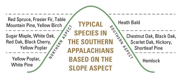 Illustration showing a slope labeled with species that grow on north and south aspects at different locations.