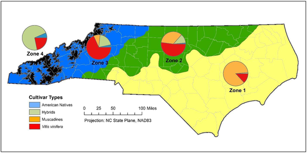 NC map showing cultivar type distribution in Zones 1 through 4.
