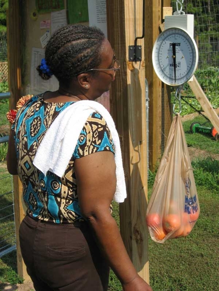 Woman weighing a plastic bag filled with tomatoes using a hanging dial scale.