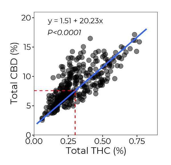 Scatter graph showing relationship between total CBD and THC.