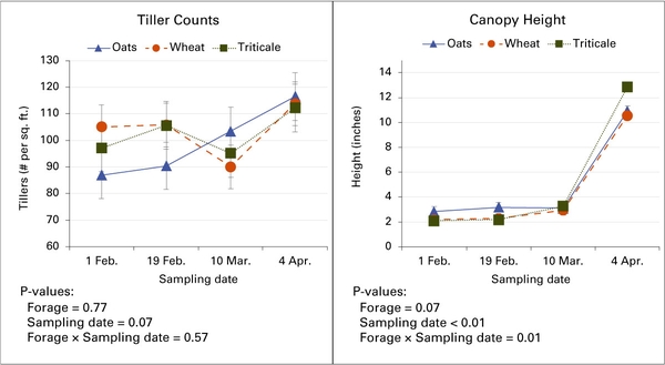 Graphs show variation in tiller counts and canopy height during the study.