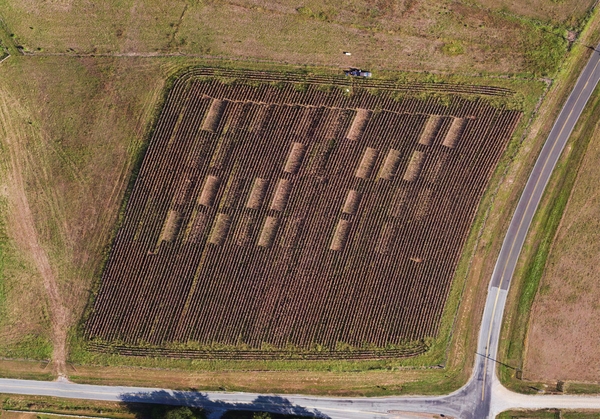 True color aerial image of a brown corn field at the end of the season.