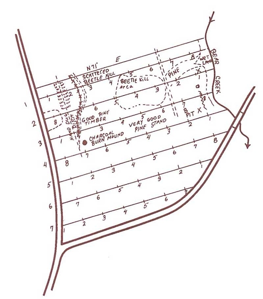 Property map with sketched field notes and locations of points of interest.