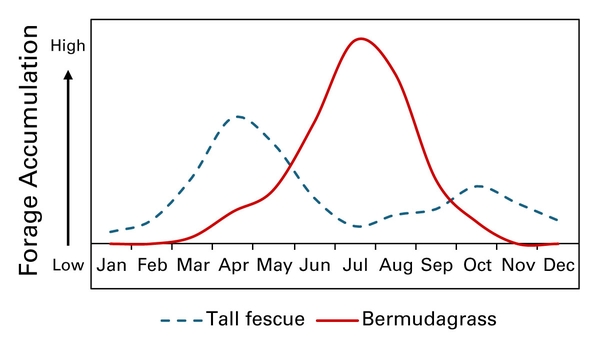 Graph showing year-round growth of bermudagrass (blue line) and cool-season forages (red line).