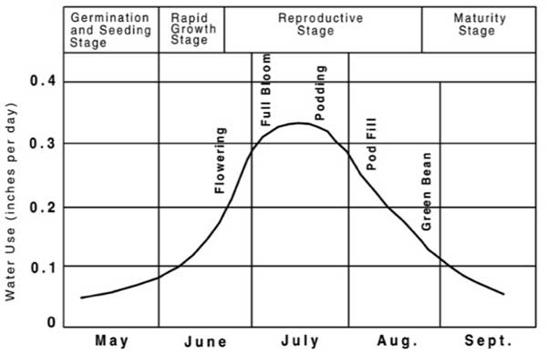 Graph shows peak water use (about 0.3 inches per day) in July during full bloom and podding. Water use is lowest in May (early growth) and September (maturity).