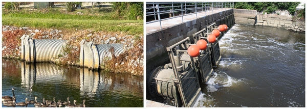 Schematics: (l) Closed rectangular flap gate at outfall, submerged halfway with water outside it. (r) Same outfall. Flap gate open at bottom & discharging to water body below.