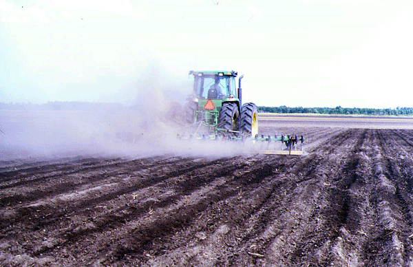 Tractor cultivating field amid cloud of dust