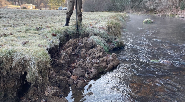 A person in waders standing on top of a grassy streambank that has crumbled into the stream. The person holds a vertical rod for use in the bank survey.