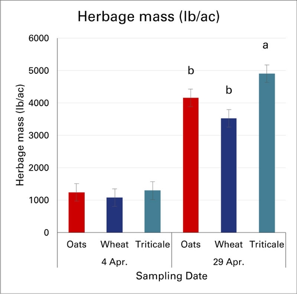 Graphic shows growth of herbage mass with triticale was greater at the end of the study.