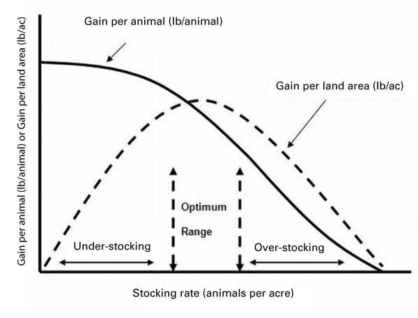 Graph showing gain per animal decreasing as stocking increases. In the optimum stocking range, gain per land area is also highest.