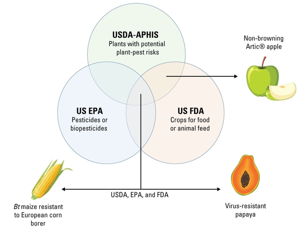 Venn diagram showing where the functions of USDA-APHIS, US EPA, and US FDA converge.