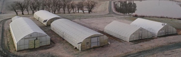 Five high tunnels of different styles are situated on a plot of land with trees and a retention pond in the background.