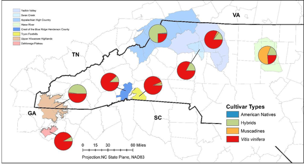 NC map showing eight AVAs and cultivar type distribution for each.