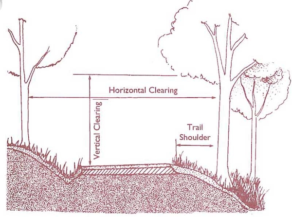 Trail cross-section showing vertical and horizontal clearings and trail shoulder.