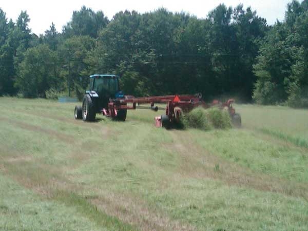 Tractor pulling hay rake in bermudagrass field.