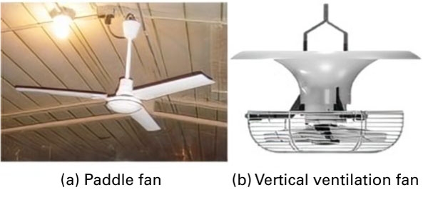 Vertical fans attached to ceiling. (a) Paddle fan. (b) Vertical ventilation fan with wire guards. Funnel-shaped shroud above fan moves air along ceiling.