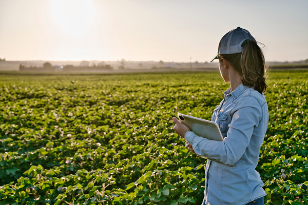 A person carrying a tablet looks out over a field of crops.
