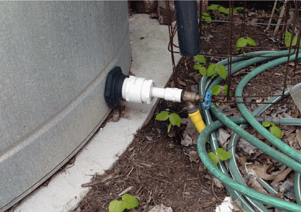 Hose connected to bulkhead fitting connected to cistern