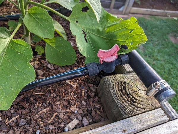 Close-up of corner of wooden raised bed planter showing drip irrigation component with shutoff valve.