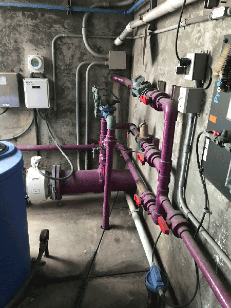 Array of purple piles on wall of a crawl space