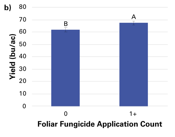 Foliar fungicide use increased soybean yield