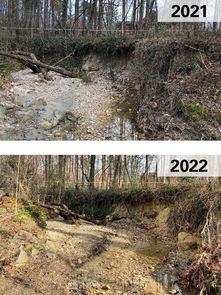 Photos showing cross-section of Mine Creek during measuring of streambank erosion in 2021 and 2022. Streambed is heavily eroded and lined with a thin row of trees.