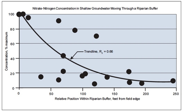 Riparian buffers reduce nitrate-nitrogen concentrations entering a stream from shallow groundwater flow